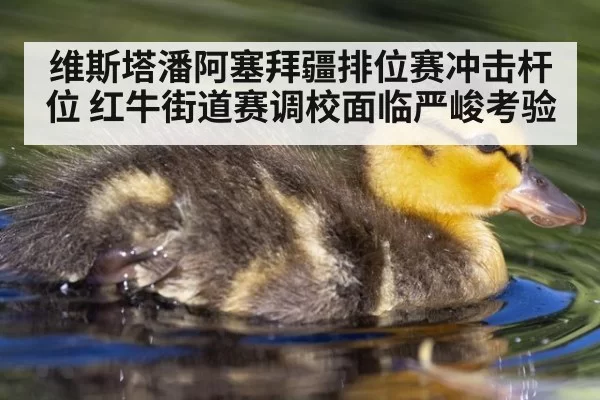 维斯塔潘阿塞拜疆排位赛冲击杆位 红牛街道赛调校面临严峻考验